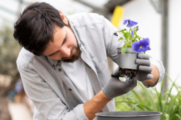 beneficios del uso de conservantes para flores cortadas